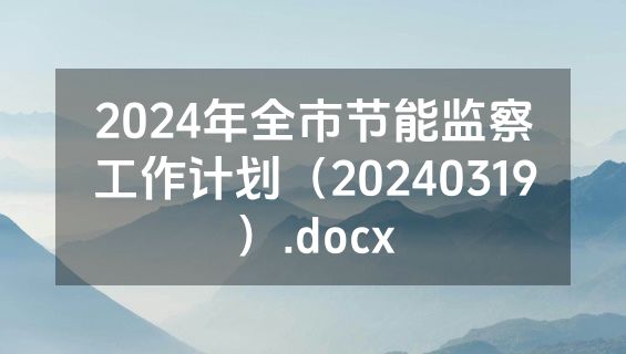 2024年全市节能监察工作计划（20240319）.docx