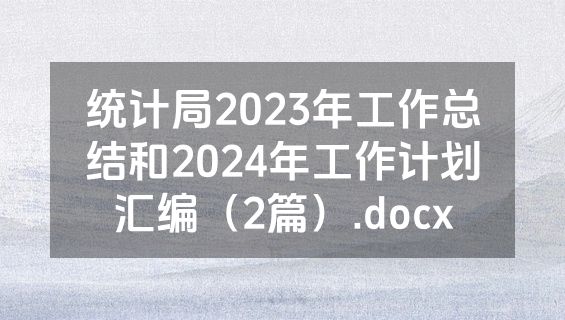 统计局2023年工作总结和2024年工作计划汇编（2篇）.docx