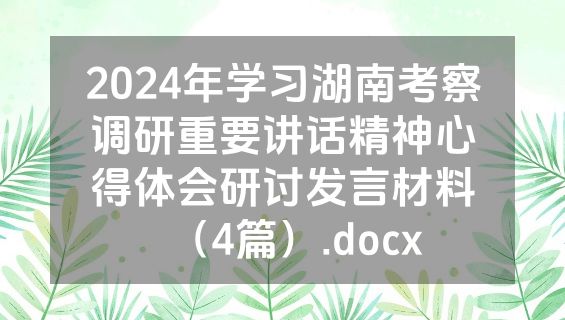 2024年学习湖南考察调研重要讲话精神心得体会研讨发言材料（4篇）.docx