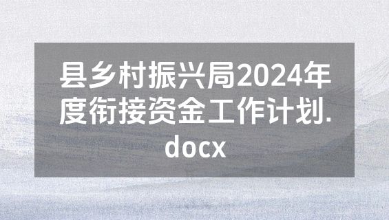 县乡村振兴局2024年度衔接资金工作计划.docx
