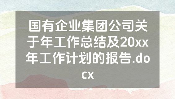 国有企业集团公司关于年工作总结及20xx年工作计划的报告.docx