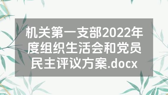 机关第一支部2022年度组织生活会和党员民主评议方案.docx