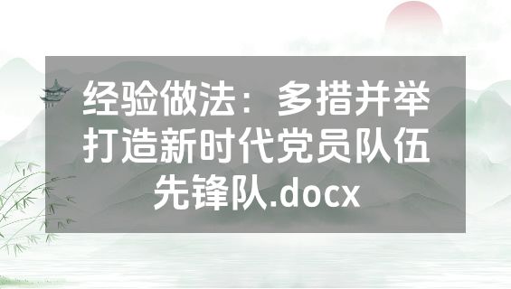 经验做法：多措并举打造新时代党员队伍先锋队.docx