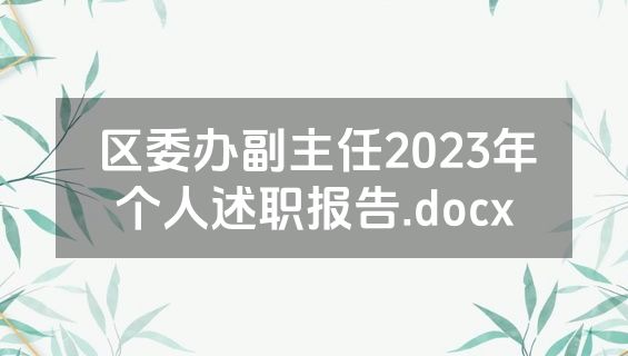 区委办副主任2023年个人述职报告.docx
