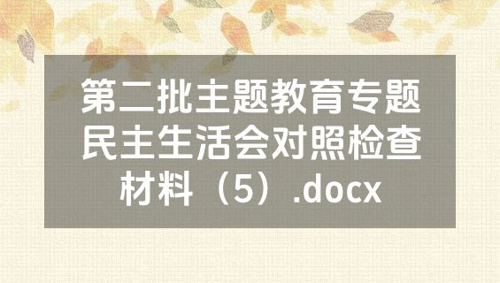 第二批主题教育专题民主生活会对照检查材料（5）.docx