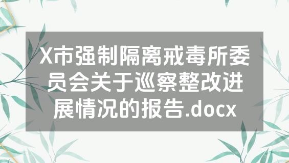 X市强制隔离戒毒所委员会关于巡察整改进展情况的报告.docx