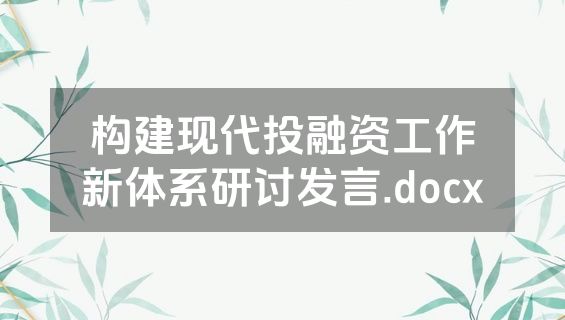 构建现代投融资工作新体系研讨发言.docx