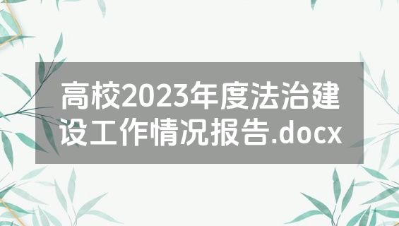 高校2023年度法治建设工作情况报告.docx