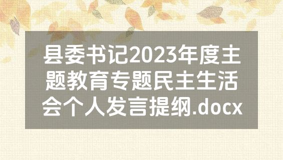 县委书记2023年度主题教育专题民主生活会个人发言提纲.docx