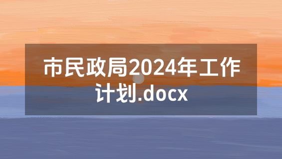 市民政局2024年工作计划.docx