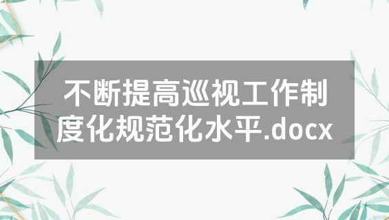 不断提高巡视工作制度化规范化水平.docx