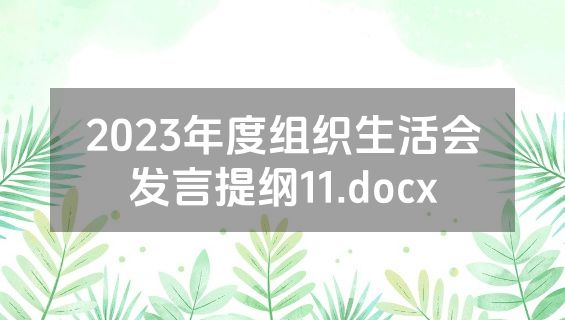 2023年度组织生活会发言提纲11.docx