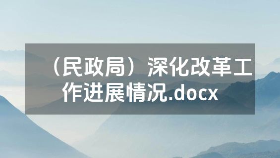 （民政局）深化改革工作进展情况.docx
