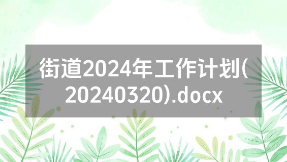 街道2024年工作计划(20240320).docx