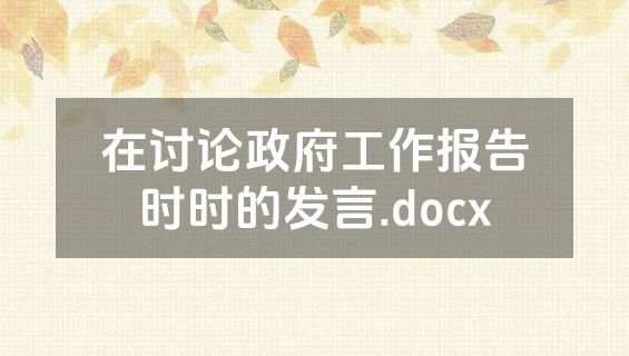 在讨论政府工作报告时时的发言.docx