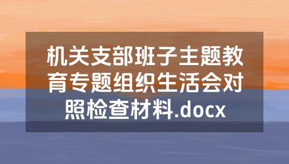 机关支部班子主题教育专题组织生活会对照检查材料.docx