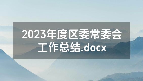 2023年度区委常委会工作总结.docx