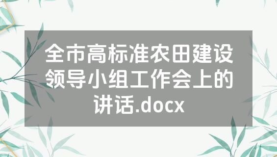 全市高标准农田建设领导小组工作会上的讲话.docx