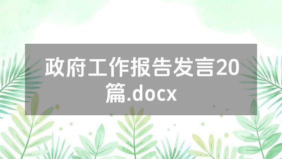 政府工作报告发言20篇.docx