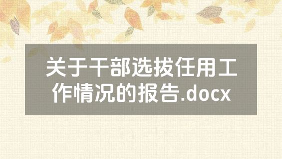 关于干部选拔任用工作情况的报告.docx