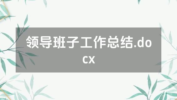 领导班子工作总结.docx