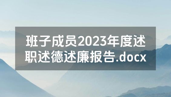 班子成员2023年度述职述德述廉报告.docx