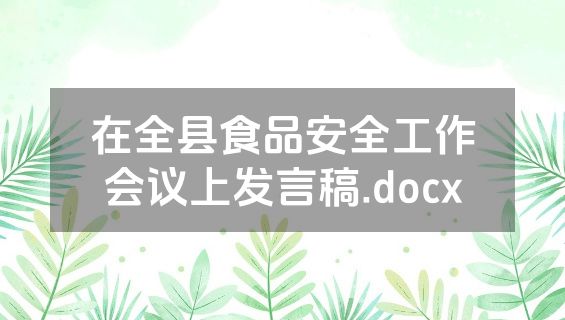 在全县食品安全工作会议上发言稿.docx