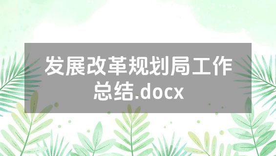 发展改革规划局工作总结.docx