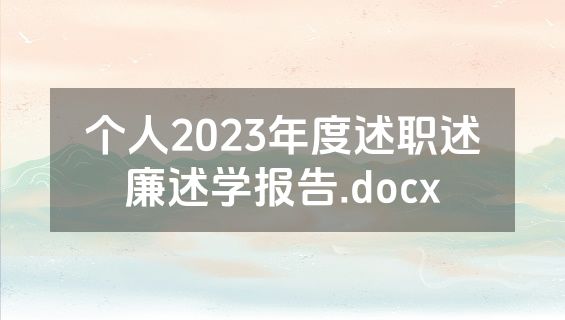 个人2023年度述职述廉述学报告.docx