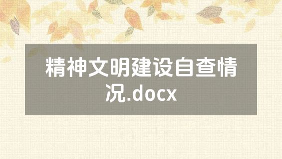 精神文明建设自查情况.docx