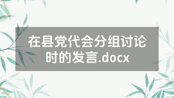 在县党代会分组讨论时的发言.docx