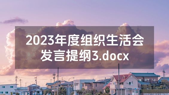 2023年度组织生活会发言提纲3.docx