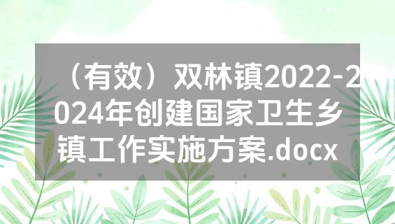 （有效）双林镇2022-2024年创建国家卫生乡镇工作实施方案.docx