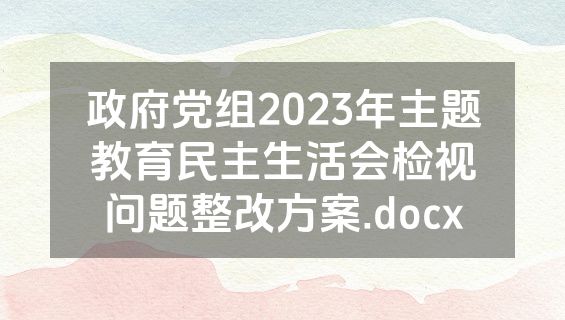 政府党组2023年主题教育民主生活会检视问题整改方案.docx