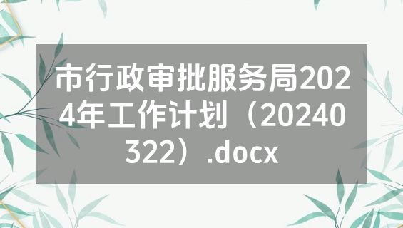 市行政审批服务局2024年工作计划（20240322）.docx