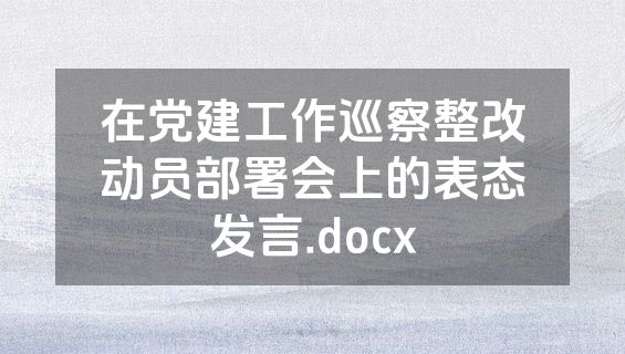 在党建工作巡察整改动员部署会上的表态发言.docx