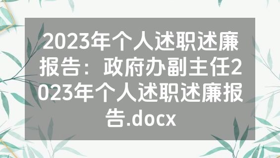 2023年个人述职述廉报告：政府办副主任2023年个人述职述廉报告.docx