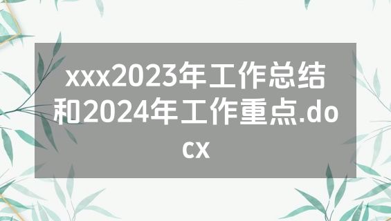 xxx2023年工作总结和2024年工作重点.docx