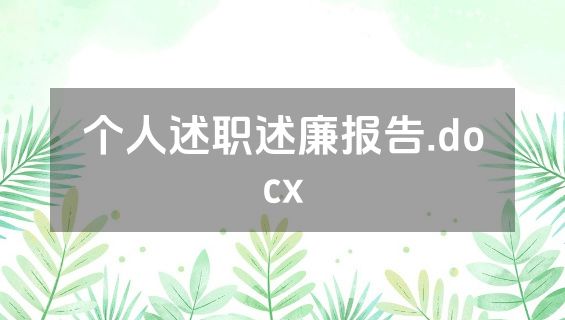 个人述职述廉报告.docx