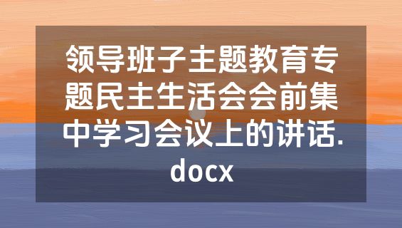 领导班子主题教育专题民主生活会会前集中学习会议上的讲话.docx
