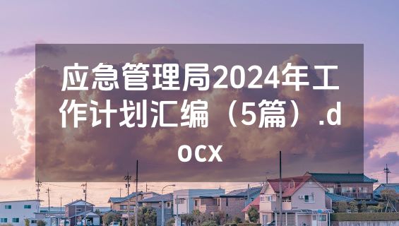 应急管理局2024年工作计划汇编（5篇）.docx