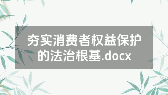 夯实消费者权益保护的法治根基.docx