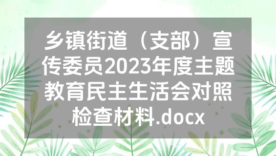 乡镇街道（支部）宣传委员2023年度主题教育民主生活会对照检查材料.docx