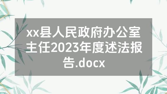 xx县人民政府办公室主任2023年度述法报告.docx