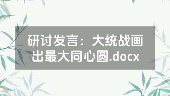 研讨发言：大统战画出最大同心圆.docx