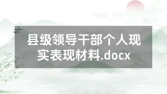 县级领导干部个人现实表现材料.docx