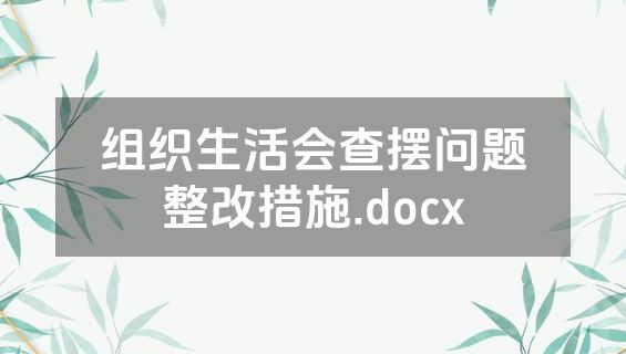 组织生活会查摆问题整改措施.docx