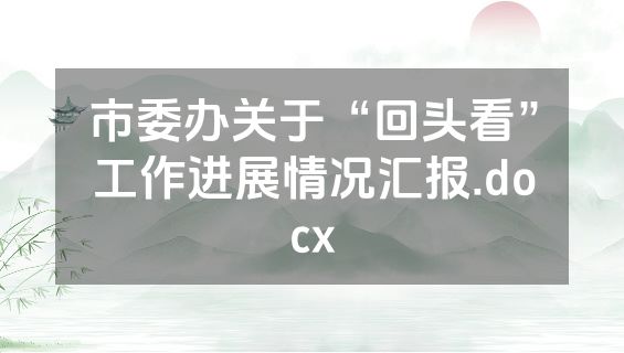 市委办关于“回头看”工作进展情况汇报.docx