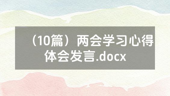 （10篇）两会学习心得体会发言.docx