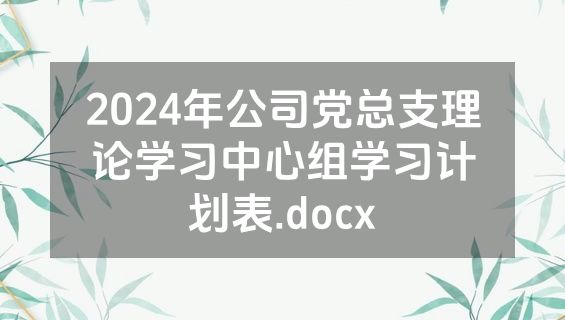 2024年公司党总支理论学习中心组学习计划表.docx